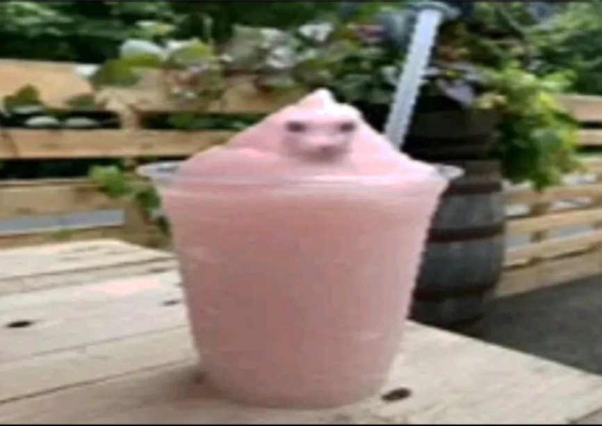 Discord Picture Dump 1 Discord Picture Dump 1